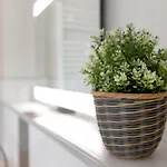 Apartment Meisennest *